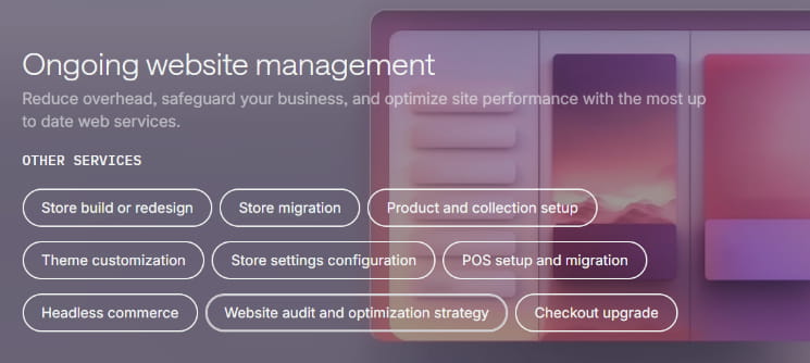 Shopify Maintenance and Support