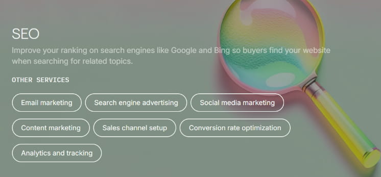 Shopify SEO Services